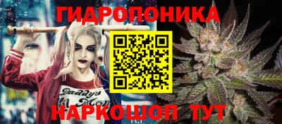 мяу мяу мука Краснодар