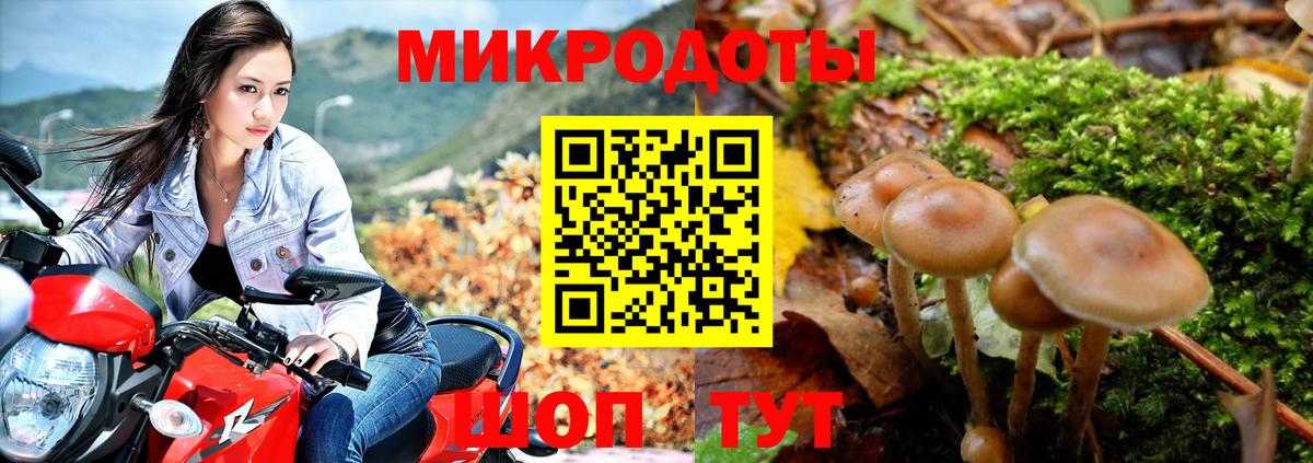 Псилоцибиновые грибы Cubensis  Псилоцибиновые грибы мицелий  Вход с VPN  Калининград 